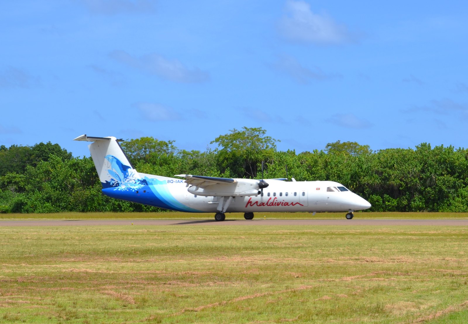Внутренние рейсы летают на винтовых самолётах вроде этого Dash 8 авиакомпании Maldivian