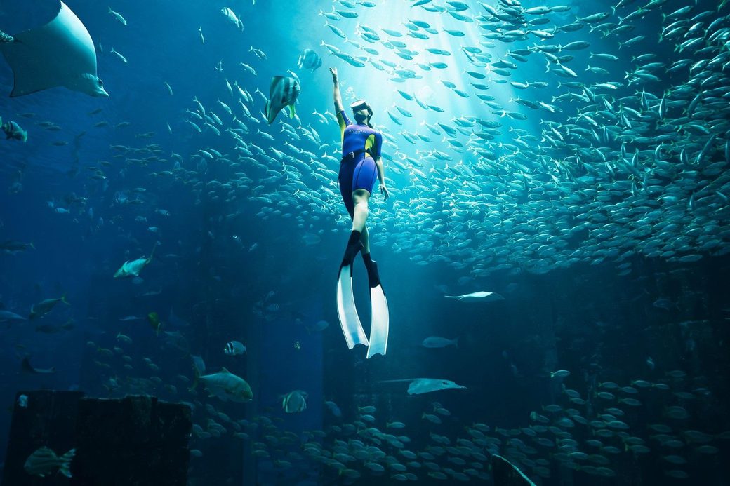 Atlantis, The Palm