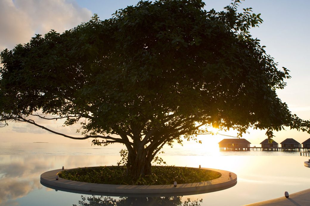 Dusit Thani Maldives