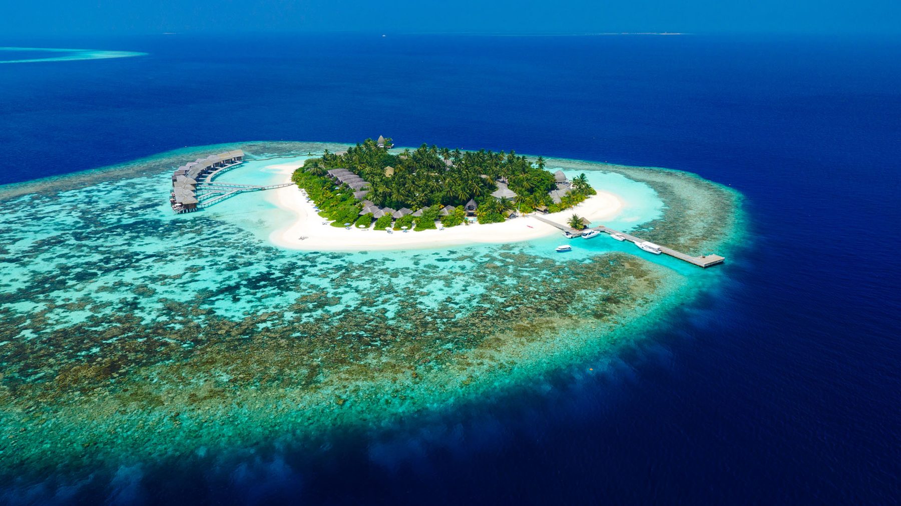 Kandolhu Maldives, Северный Ари