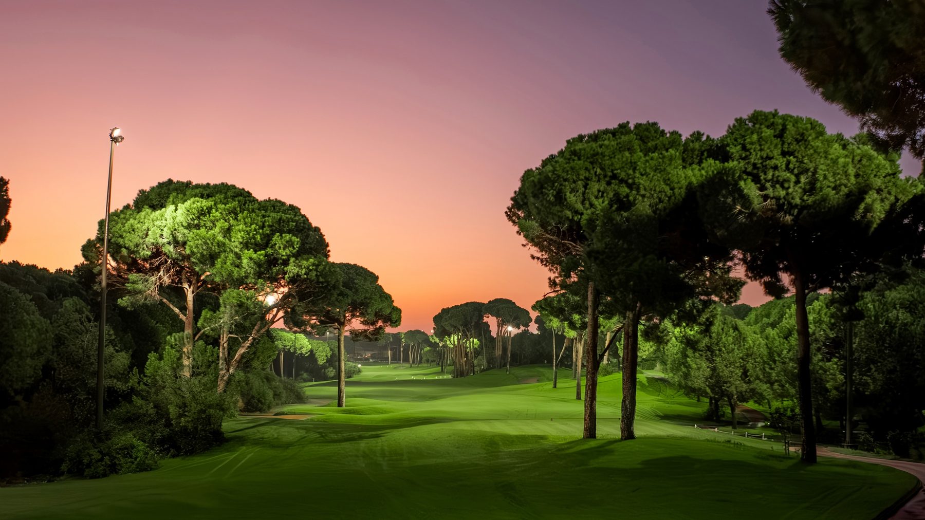 Поле Montgomerie Maxx Royal в Белеке на закате: сосны вдоль фервея и мачта освещения