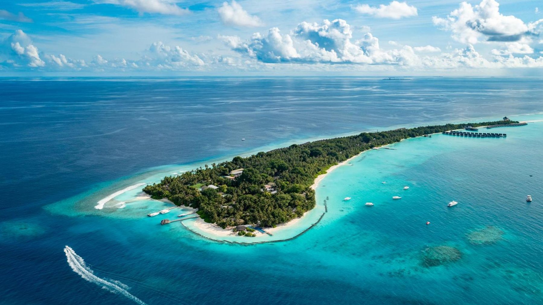 Niva Kuramathi Maldives, Северный Ари