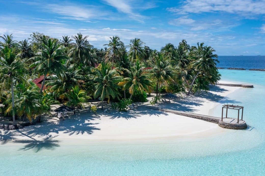 Niva Kurumba