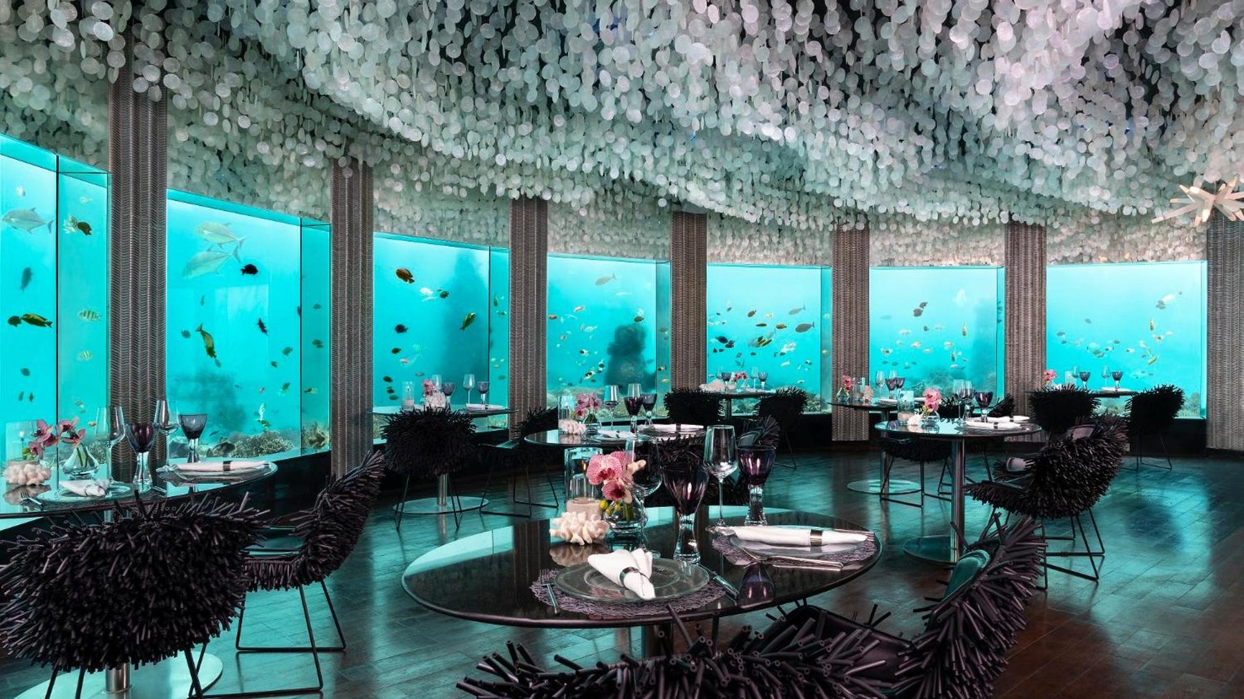 Niyama Private Islands